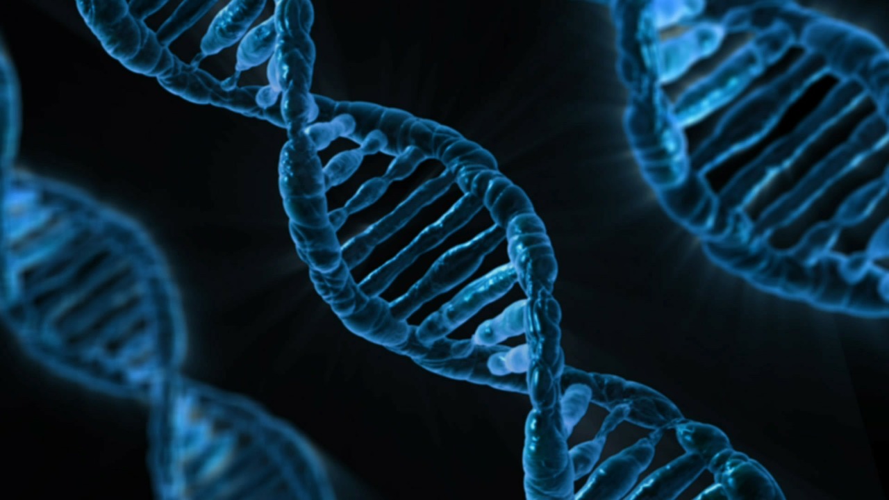 methylation